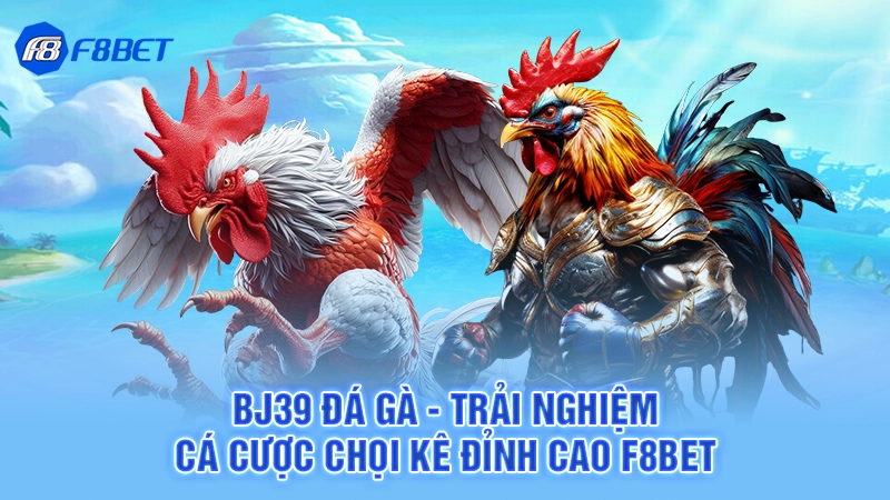 Bj39 Đá Gà - Trải Nghiệm Cá Cược Chọi Kê Đỉnh Cao F8bet
