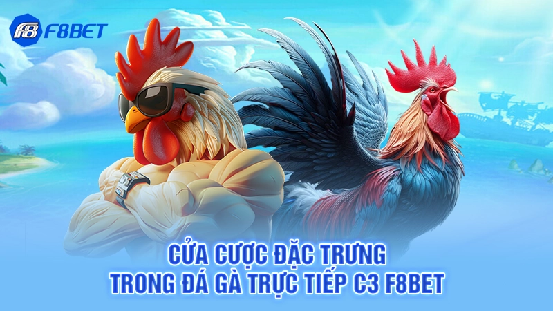 Đá Gà Trực Tiếp C3 F8bet 3 Cửa cược đặc trưng trong đá gà trực tiếp C3 F8bet