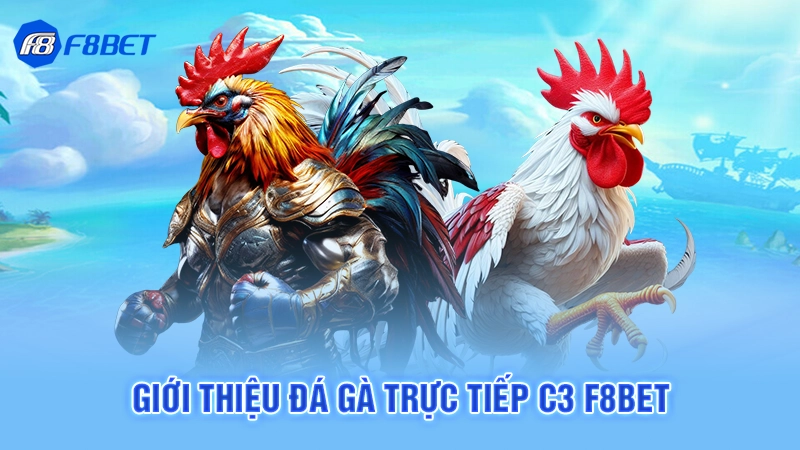Đá Gà Trực Tiếp C3 F8bet 1 Giới thiệu đá gà trực tiếp C3 F8bet