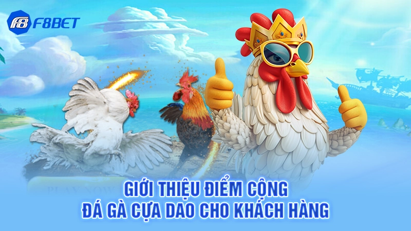 Đá Gà Cựa Dao F8bet 2 Giới thiệu điểm cộng đá gà cựa dao cho khách hàng