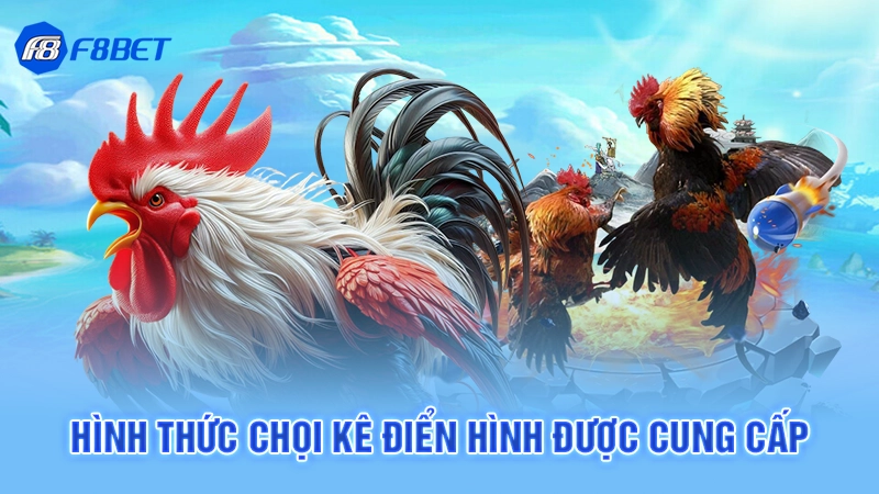 Bj39 Đá Gà F8bet 2 Hình thức chọi kê điển hình được cung cấp