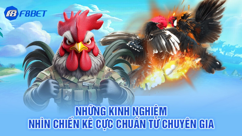 Đá Gà Uw99 - Cá Cược Chọi Kê Đẳng Cấp 3 Những kinh nghiệm nhìn chiến kê cực chuẩn từ chuyên gia