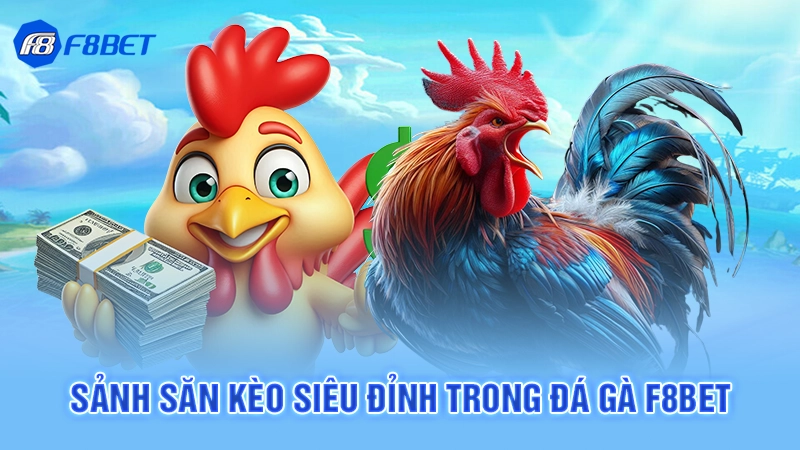 Sảnh săn kèo siêu đỉnh trong đá gà F8bet