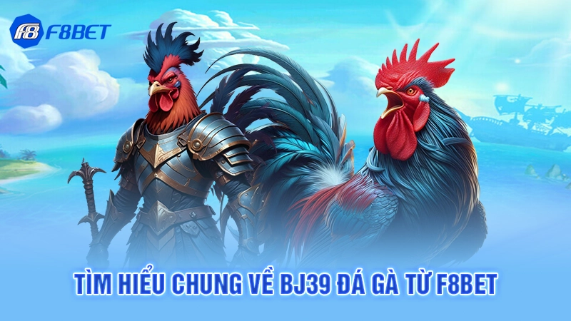 Bj39 Đá Gà F8bet 1 Tìm hiểu chung về Bj39 đá gà từ F8bet