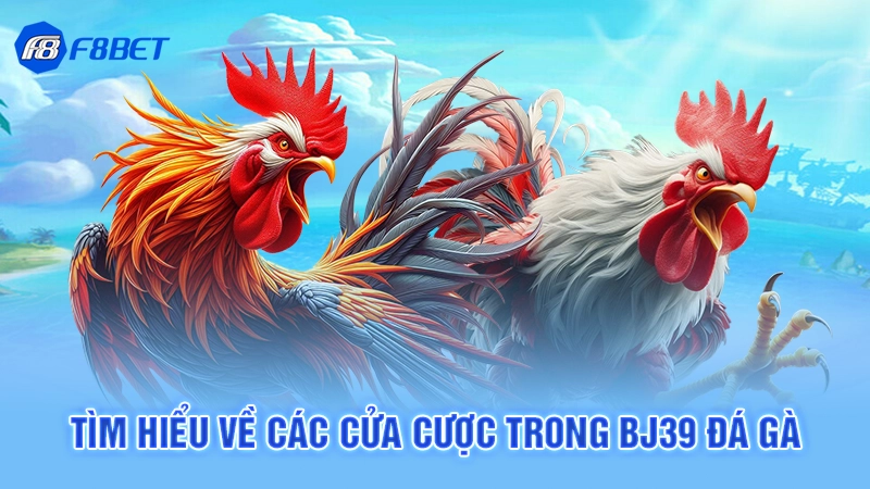 Bj39 Đá Gà F8bet 3 Tìm hiểu về các cửa cược trong Bj39 đá gà